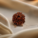 7 Mukhi Rudraksha